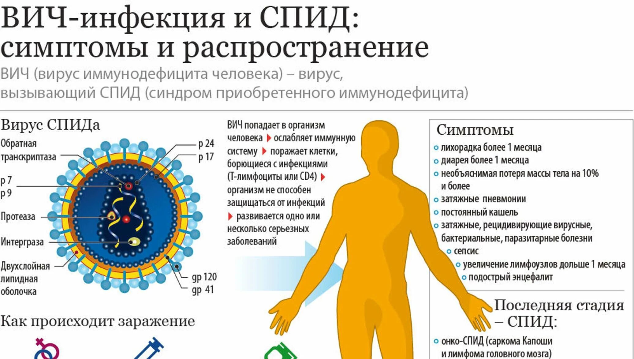 Спид организм. Симптомы СПИДА ВИЧ инфекции. ВИЧ инфекция и СПИД симптомы и распространение. ВИЧ-инфекция и синдром приобретенного иммунодефицита.