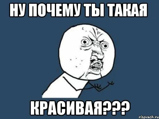 Ну почему люблю. Прекрасный Мем. Ну почему Мем. Мемы красиво. Красивое мэм.