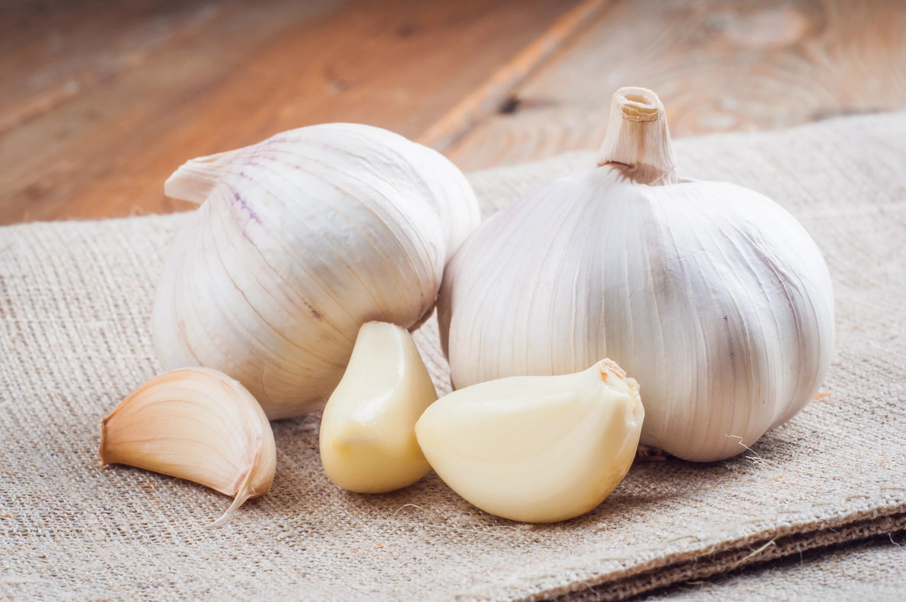 Фото чеснока. Чеснок. Чеснок garlic. Чеснок ранний. Большой чеснок.