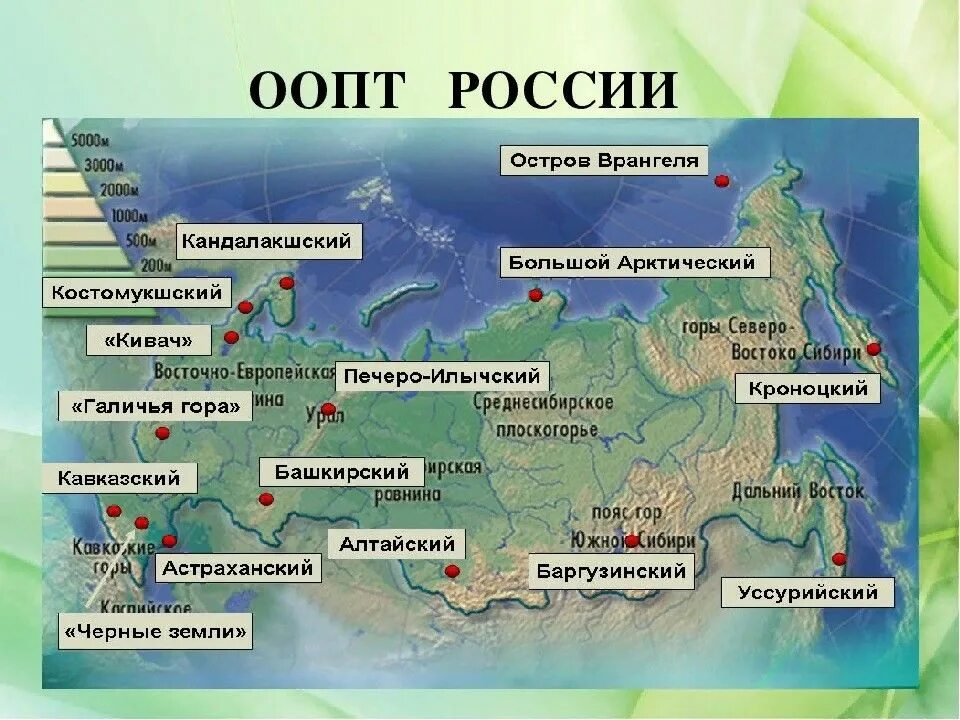 Размещение особо охраняемых территорий. Особо охраняемые природные территории. особо охраняемые природные территории россии. особоохраняяемы природные территории. особо охраняемая территория россии.