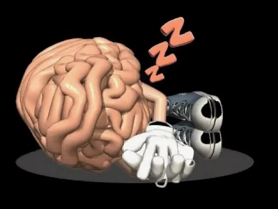 Sleeping brains. Занятия спящего мозга.