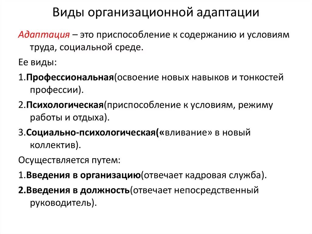Адаптация план работы