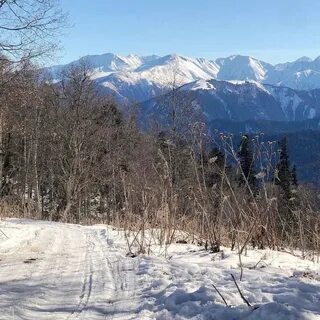 Есть ли снег в лагонаки