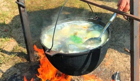 Ловить готовить