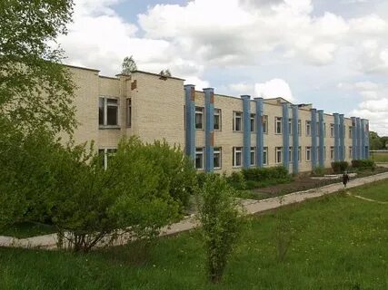 Погода белорусский пыталовский