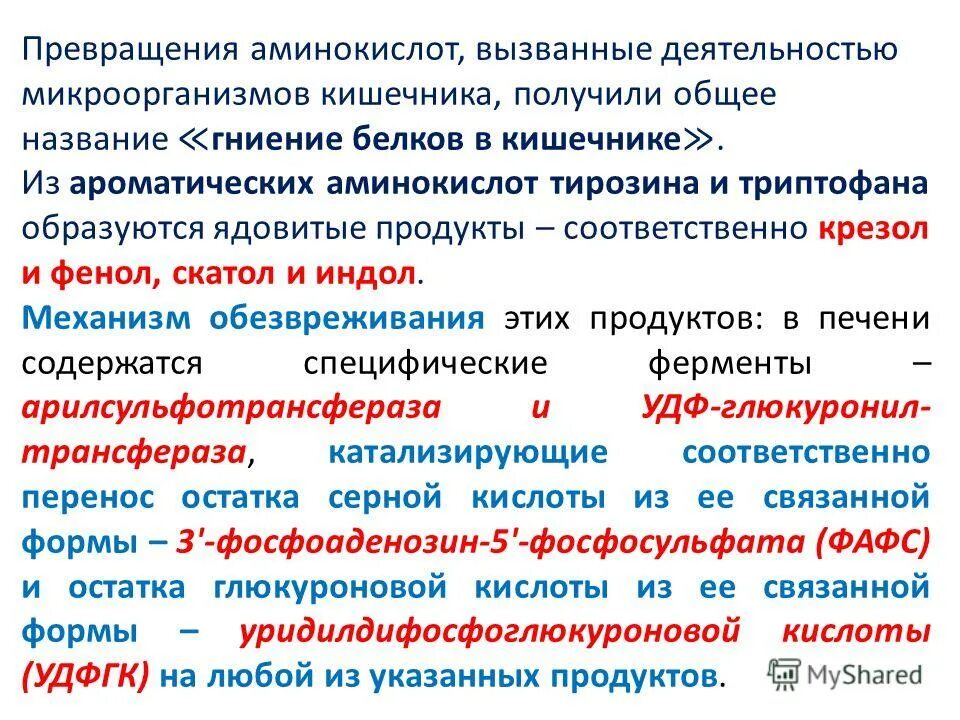превращение аминокислот. общие пути превращения аминокислот в организме. превращения аминокислот.