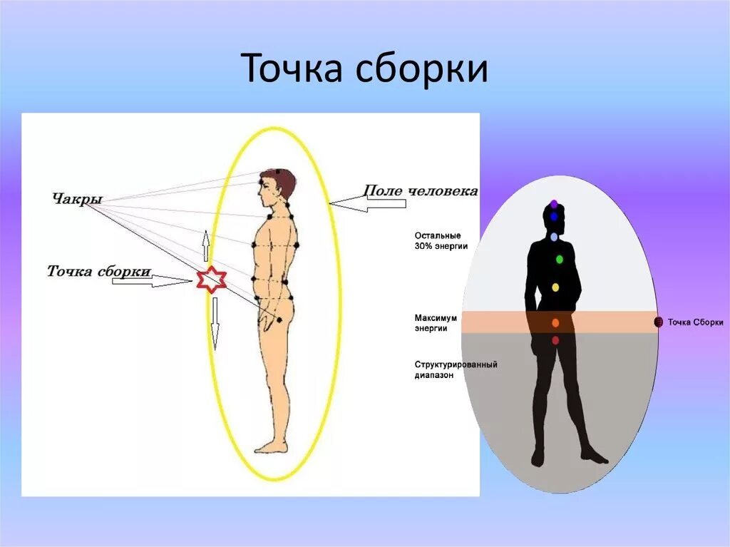 Точки тела человека. Энергетический кокон человека и точка сборки. Как выглядит 1 точка. Четвёртая точка на теле человека. Меридиан почек точки расположения схема.