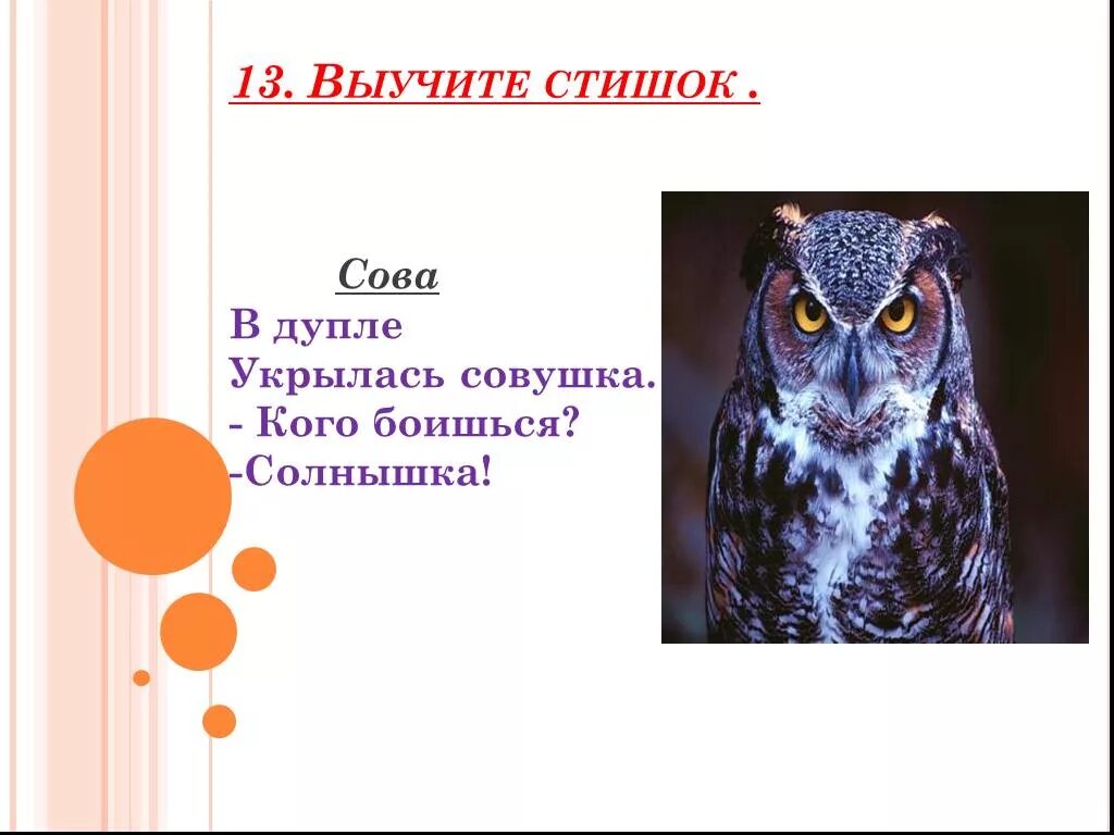 Совушка сова большая голова текст