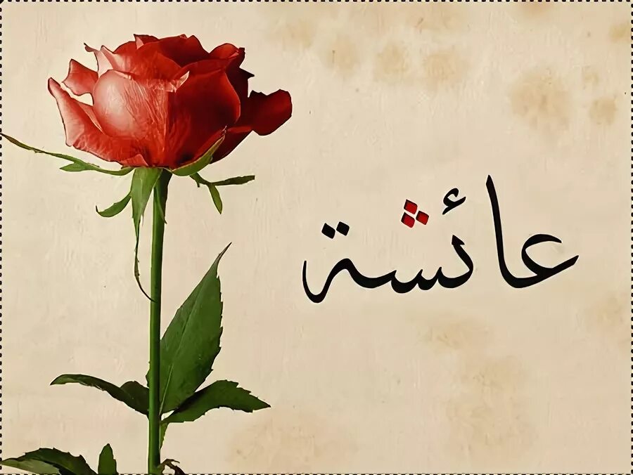 Имя Айша на арабском. Имя Аиша на арабском. Красивые арабские цветы. Айшат на арабском.