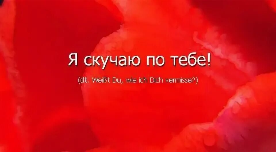 Люблю тебя на армянском русскими буквами. Я тебя люблю на армянском языке. Я скучаю на азербайджанском языке. Я тебя люблю на армянском языке русскими. Я тебя люблю по армянски.