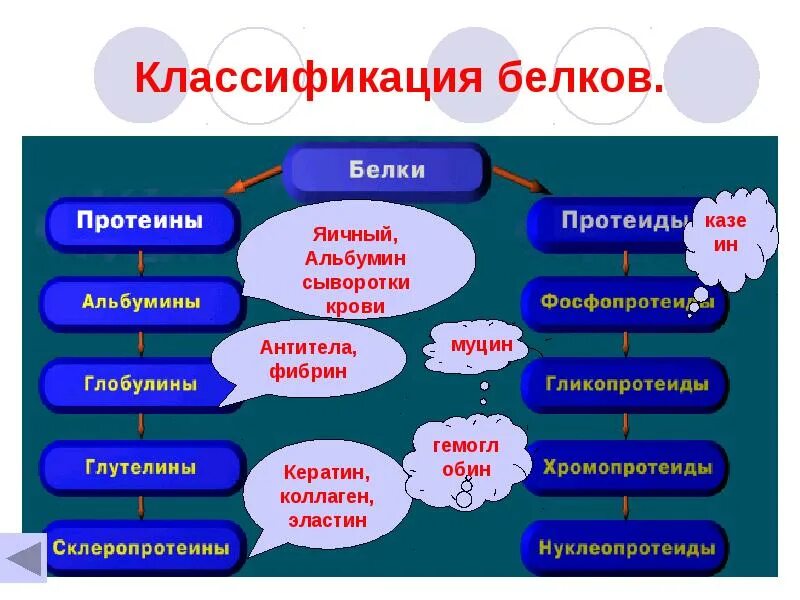 Сложные белки группы. Классификация белков по строению. Классификация белков по химическому строению. Классификация белков простые и сложные. Классификация белков по функциям биохимия.