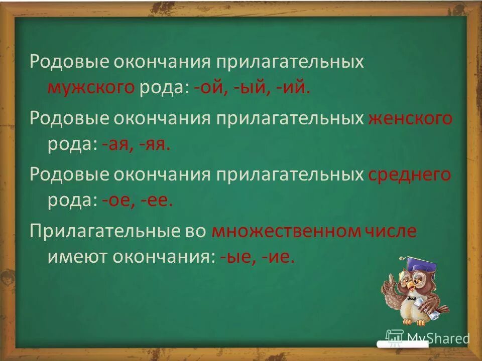 Есть ли род у множественного числа. Есть ли род у множественного числа
