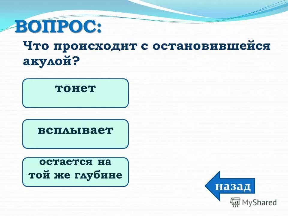 что слелать если болит сердце. если земли. что-то происходит. цитата про общение с людьми. остановите землю я сойду.