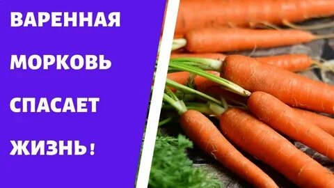 Можно собаке вареную морковь