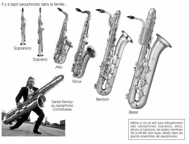 Типы саксофонов. Саксофон альт чертёж. Типы саксофонов. Саксофон сопрано, альт, тенор и баритон. Саксофон альт и тенор.
