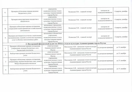 Образец внутреннего финансового аудита