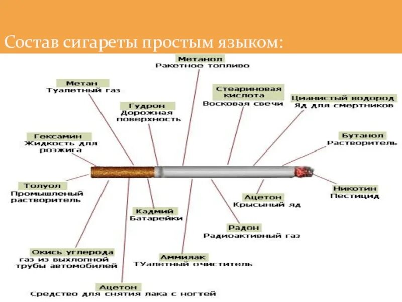 Состав сигареты. Схема сигареты. Из чего состоит сигарета. Состав сигареты картинки.