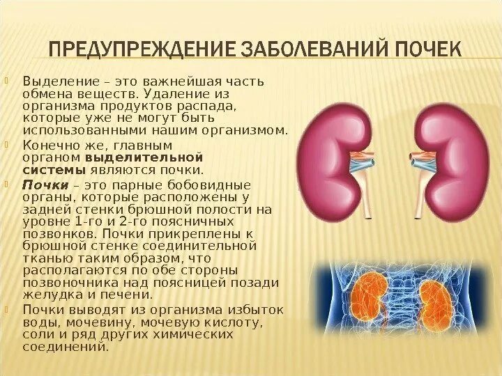 Предупреждение почечных заболеваний 8 класс. Профилактика заболеваний почек. Заболевание почек презентация. Основные заболевания почек.