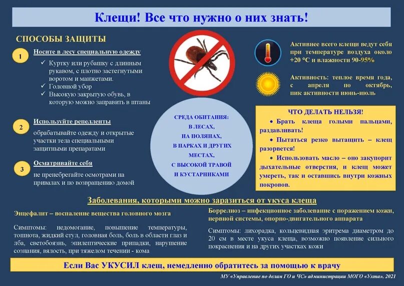 Активность клещей при какой температуре