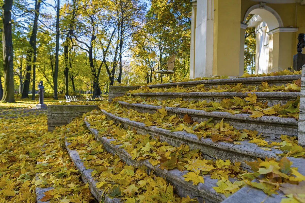 Летний сад осенью. Михайловский сад осень СПБ. Михайловский сад в Санкт-Петербурге осенью. Осень парк Александро Невская Лавра. Михайловский сад сад осенью Санкт Петербург.