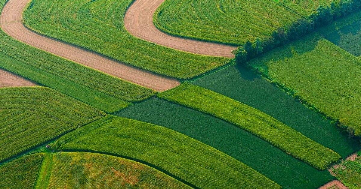 Искусственные агроценозы. Сельскохозяйственный ландшафт. Антропогенный ландшафт. Природно-антропогенные ландшафты. Сельскохозяйственные антропогенные ландшафты.