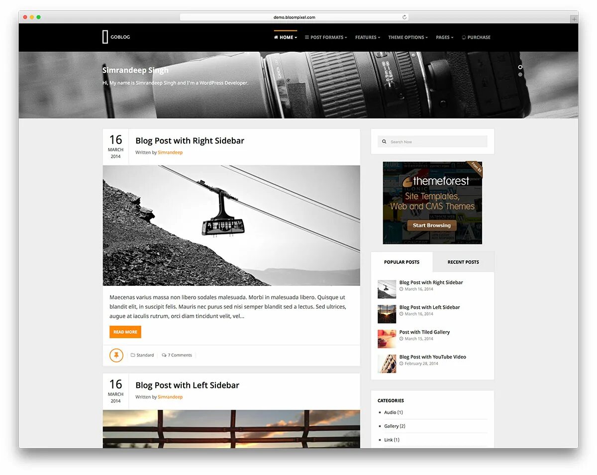 Website theme