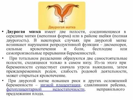 Матка рассказ
