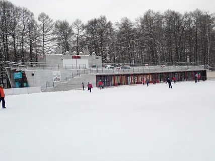 Каток сокольники 2024