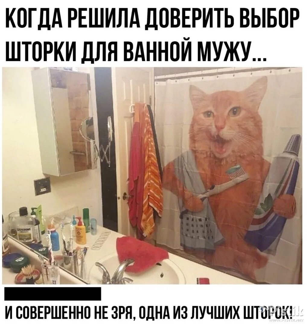 Пришел покормить кота а тут клининг