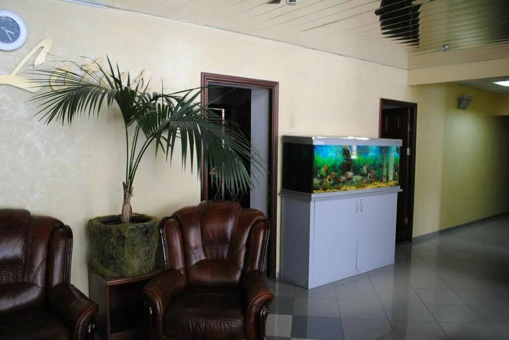 Гостиница лотос южно сахалинск. Отель лотос старонагорная. Ул курильская гостиница лотос южно-сахалинск. Гостиница лотос южно сахалинск. Отель лотос южно-сахалинск.