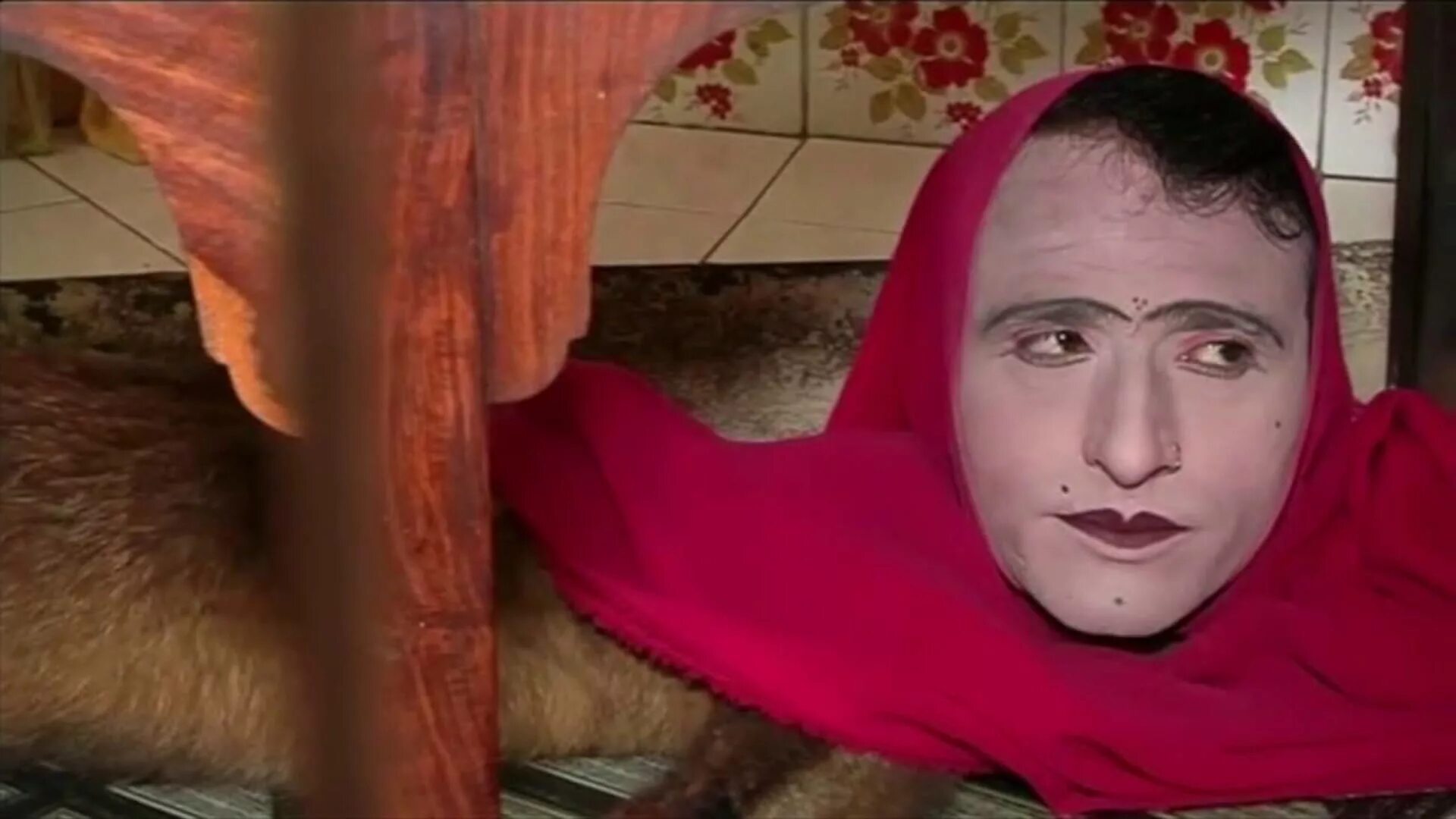 Пакистанский зоопарк человек лиса. Комаров мир наизнанку пакистан. Мир наизнанку лиса. Человек лиса мир наизнанку фото. Человек лиса мир наизнанку.