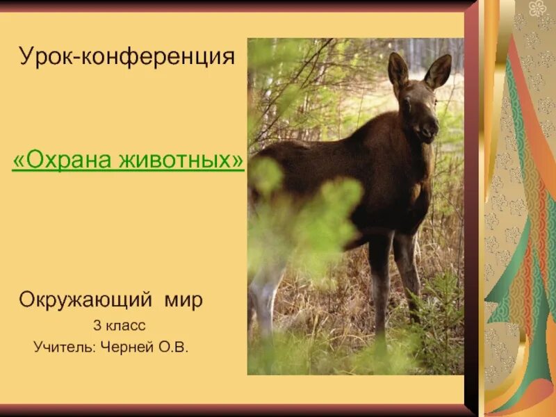 Мир животных и его охрана. Мир животных и его охрана. Мир животных и его охрана. Мир животных и его охрана. Мир животных и его охрана.