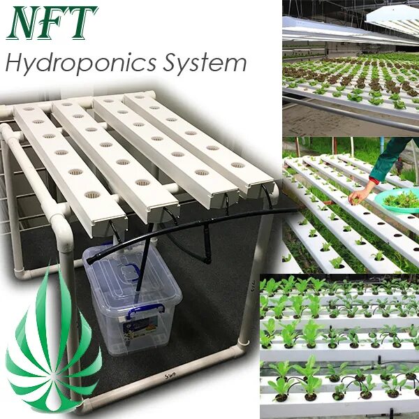 Как получить ton nft. Как получить ton nft