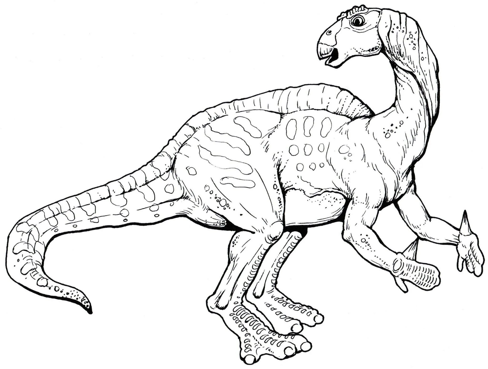 Раскраска динозавр формат а4. Тарбозавр раскраска динозавра. Игуанодон динозавр раскраска. Раскраски для детей Тарбозавр. Тарбозавр разукрашка.