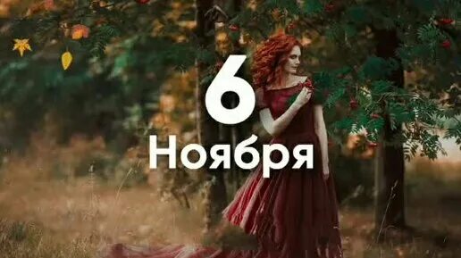 Имена 6 ноября. 6 ноября именины. 6 ноября именины женские. именины 6 ноября женские имена. именины виктории 6 ноября.