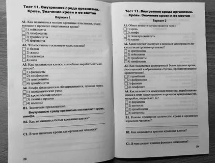Тест по теме строение организма 8 класс