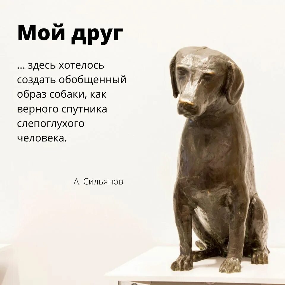 Зато собака
