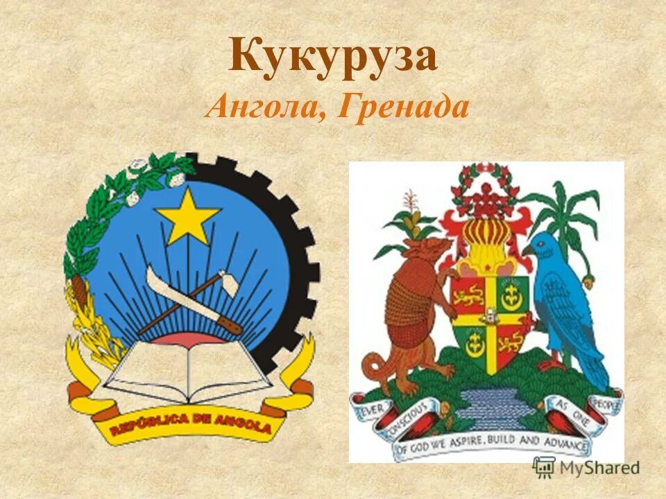 Гербы разных стран. Герб Страна с растением на флаге. Животные на гербах государств.