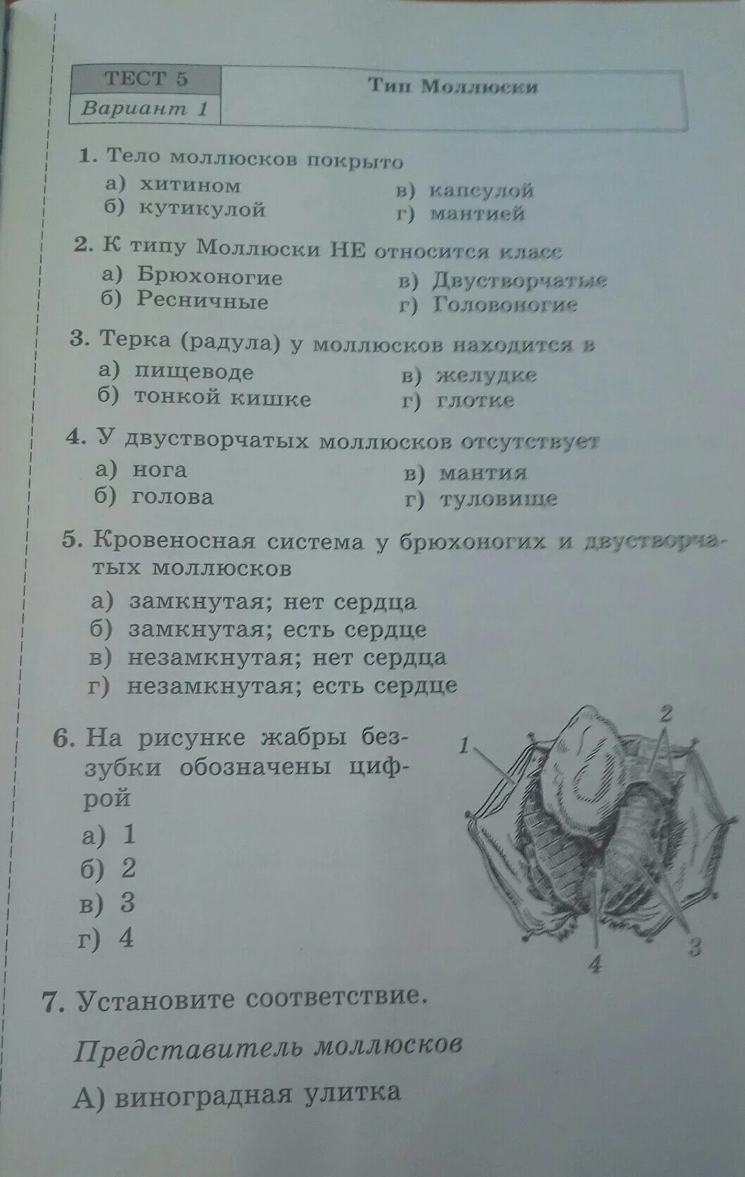 Тест гекалюк 8 класс. Тесты по биологии класс. Тесты по биологии 7 класс. Биология 5 класс тесты. Биология тесты 7 класс гекалюк.