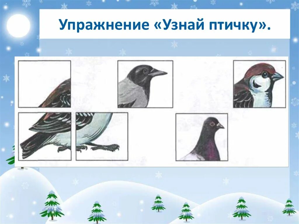 Зимующие птицы задания для детей. Зимующие птицы упражнения для дошкольников. Детям о зимующих птицах подготовительная группа. Задачи для дошкольников про зимующих птиц.