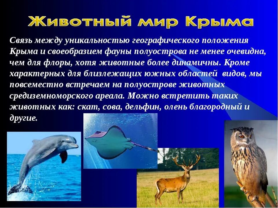 Определите представителей флоры и фауны не характерных