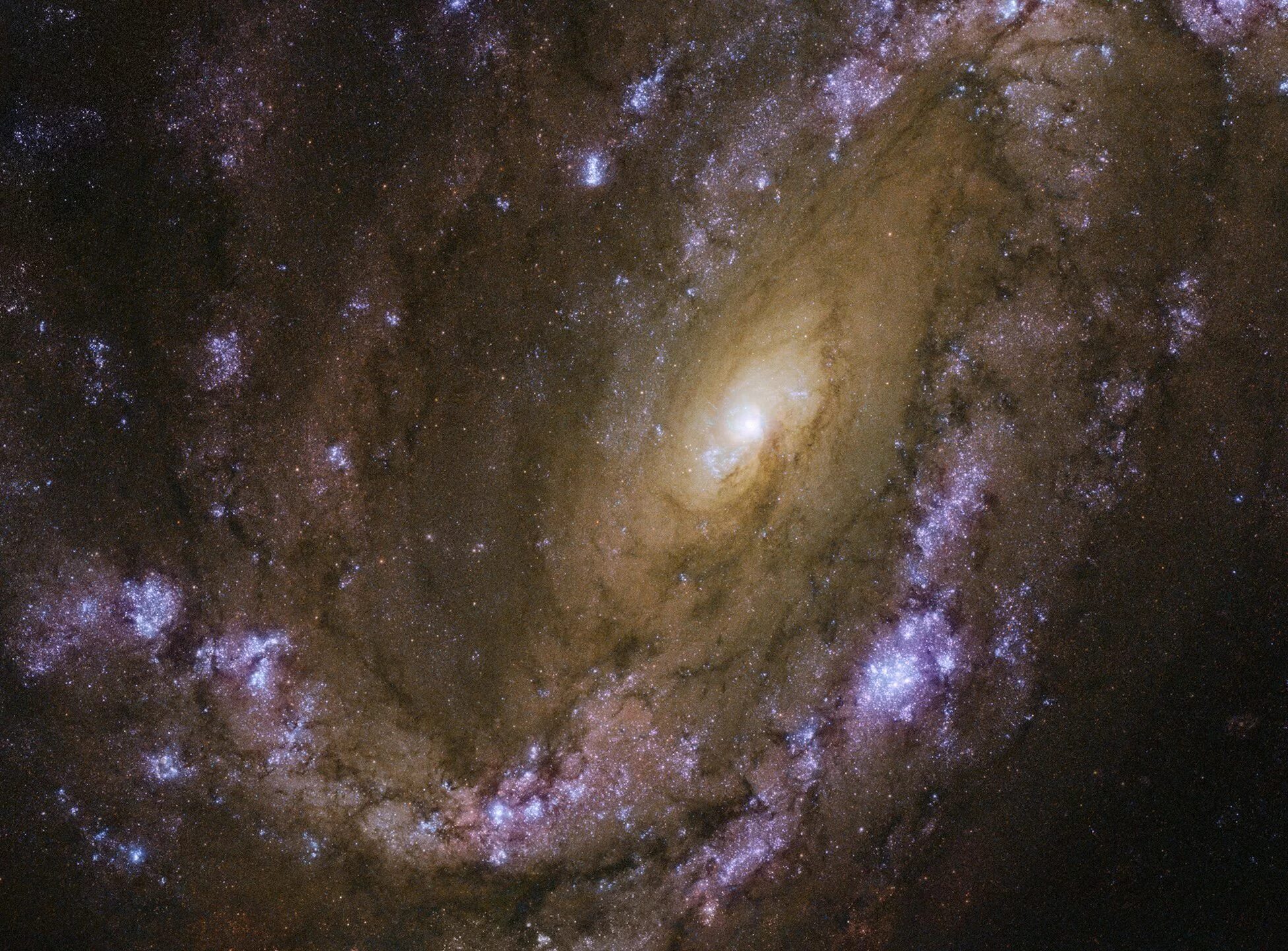 Какой космический объект называют. НАСА телескоп Хаббл. Галактика NGC 1132. Галактика Млечный путь телескоп Хаббл. Галактика NGC 7674.