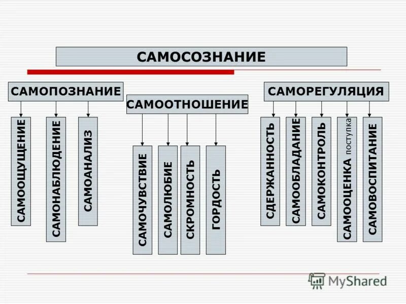 самопознание и самоотношение. самопознание и самоотношение. функции самосознания в психологии. самосознание понятие структуры и функции. самопознание схема 6 класс обществознание.