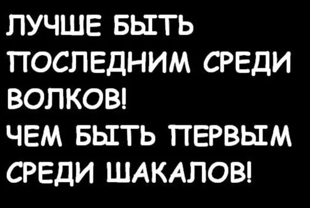 Первый среди последних текст. Лучше быть последним среди Волков. Лучше быть последним среди Волков чем первым среди шакалов. Лучше быть последним первым чем первым последним. Лучше быть последним среди Львов.