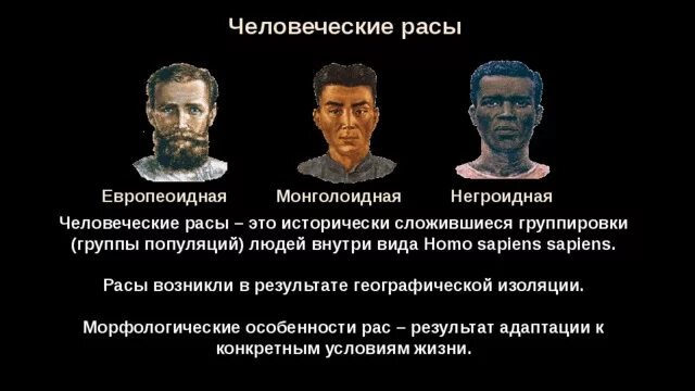 Презентация человеческие расы-исторически сложившиеся группировки. Морфологические особенности рас человека. Человеческие расы сформировались в результате. Рассены внешность.