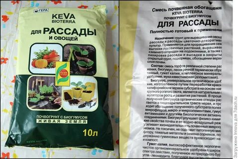 Рейтинг грунта для рассады овощей
