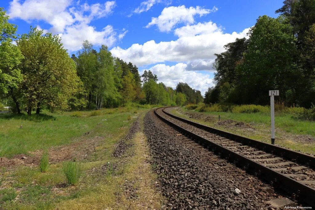 Советск озеро. Санаторский лес Советск Калининградской области. Санаторский лес в Советске. Лес в городе Советск. Советск в лесах.