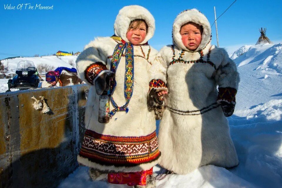 Народы живущие на крайнем севере. Ненцы Ямала. Ямал тундра ненцы. Ненцы Таймыр. Ненцы Ханты манси чукчи.