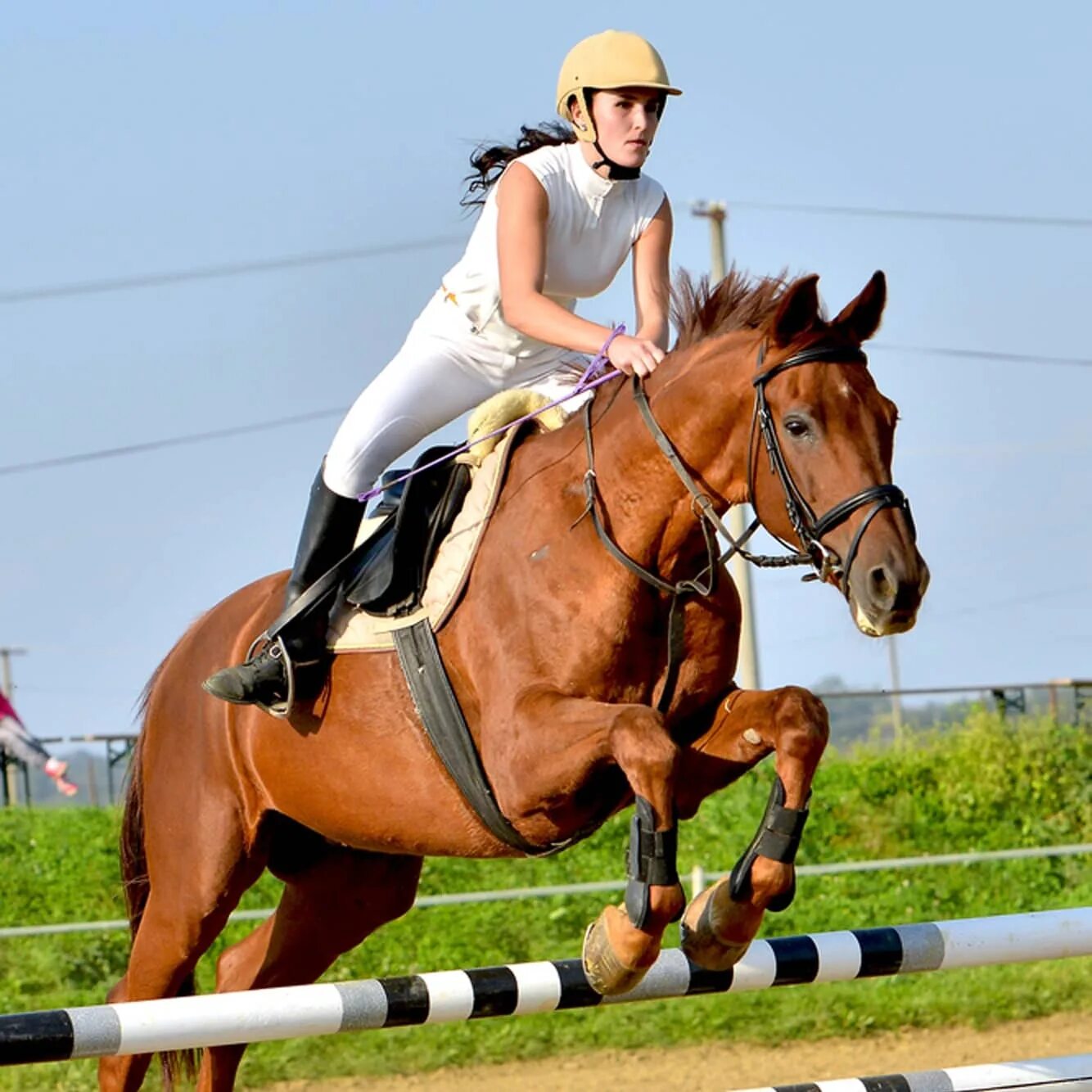 The horse rider. Хорс райдинг. "Back in the Saddle" (США, 2020). Наездник. Horseback riding.