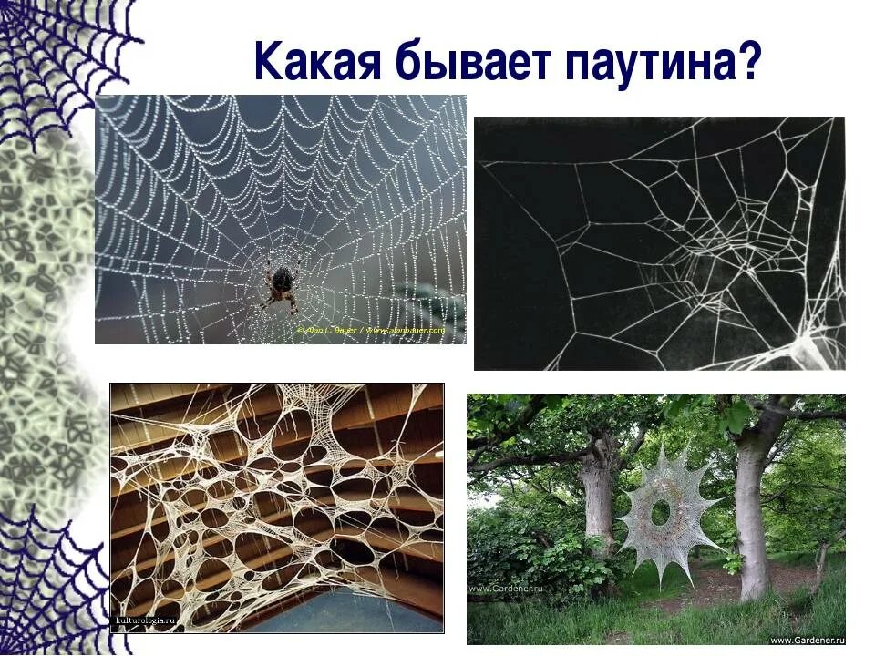Используй паутину